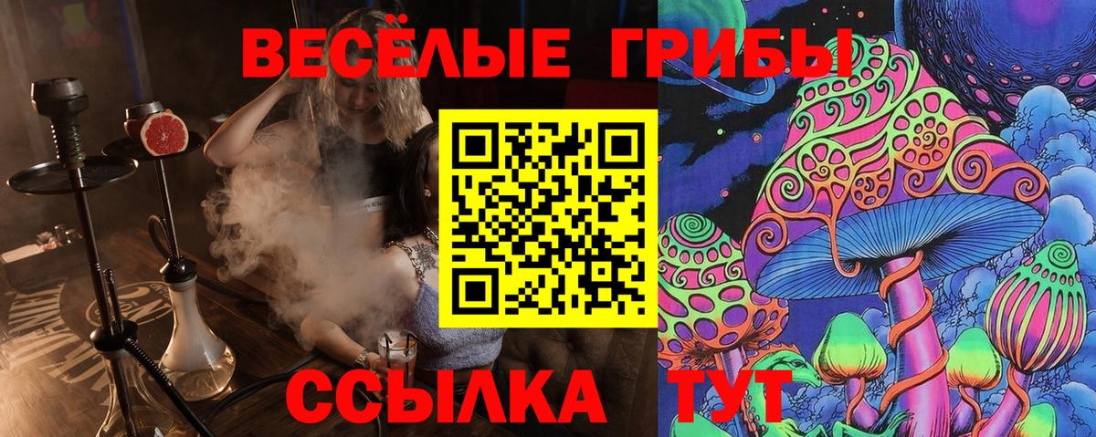 Галлюциногенные грибы прущие грибы  Вход с VPN  Шахты 